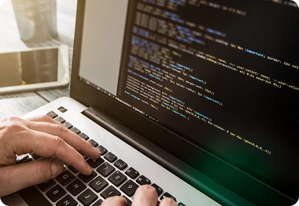 Premium Design Services